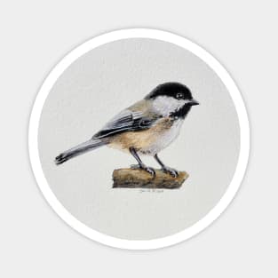 Chickadee Drawing 4 Magnet